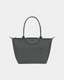 Longchamop Le Pliage Green M Tote Bag Graphite