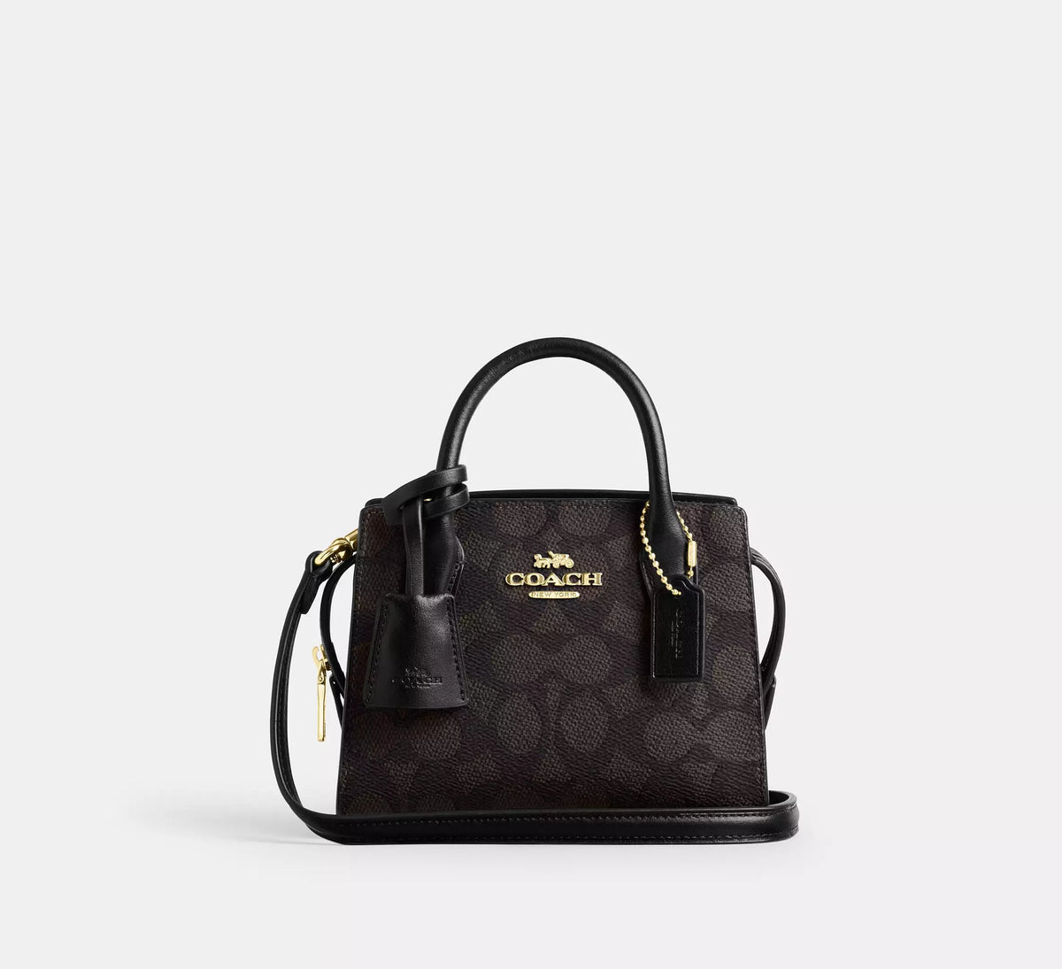 Andrea Mini Carryall Bag In Signature Canvas Main image