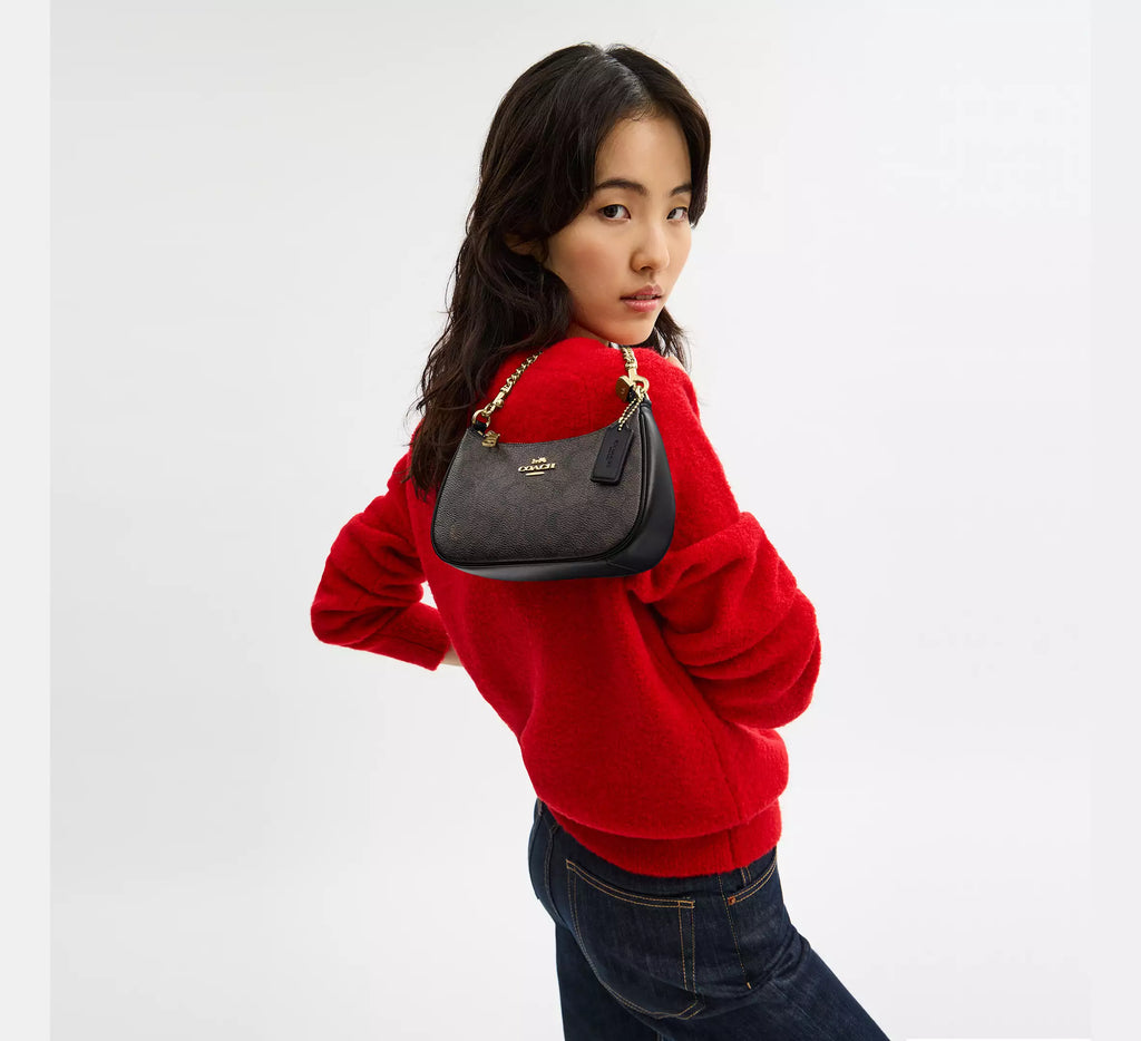 Coach Teri Mini Crossbody Bag In Signature Canvas